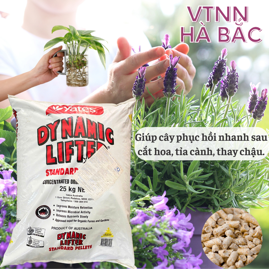 Phân Hữu Cơ Dynamic Lifter Nhập Khẩu Úc, bón cho hoa hồng, hoa mai và cây kiểng bonsai - Bao 25kg
