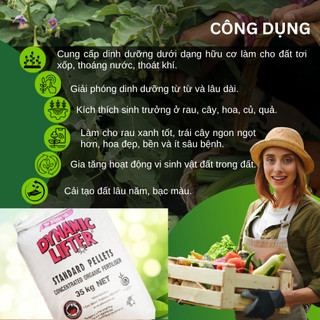 Phân Hữu Cơ Dynamic Lifter Nhập Khẩu Úc, bón cho hoa hồng, hoa mai và cây kiểng bonsai - Bao 25kg