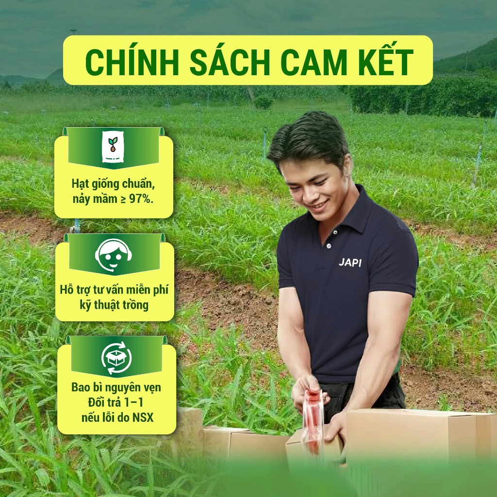 Hạt giống Rau Ngót Lá Nhỏ 10g – Hạt giống rau ăn lá dễ trồng, năng suất cao, lá xanh mướt
