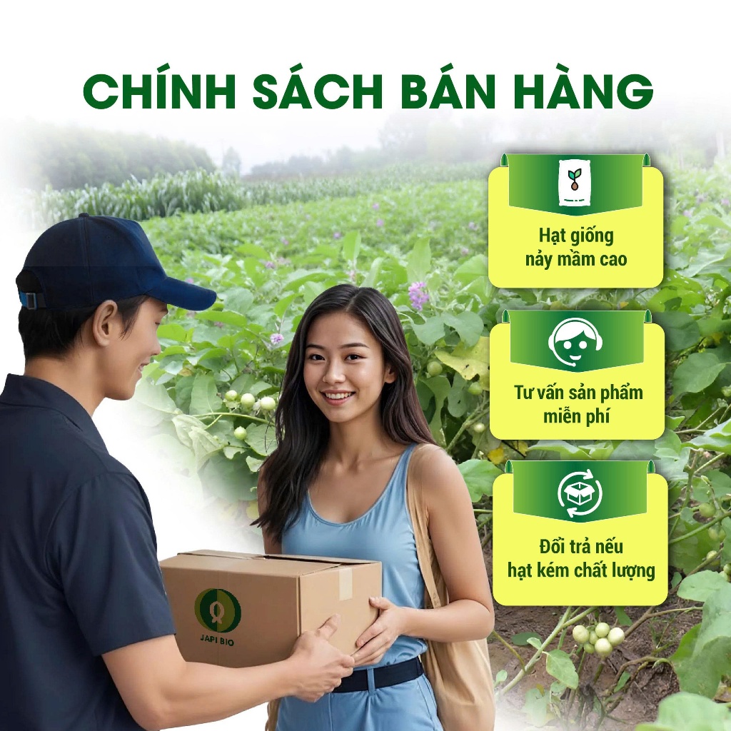 Hạt giống Cà Pháo Trắng Cao Sản PD77 – Trái Tròn Trắng Đẹp, Năng Suất Cao, Ăn Giòn Ngon – Gói 2g