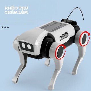 Đồ chơi lắp ráp robot chó mèo cơ khí DIY – mô hình chạy năng lượng mặt trời cho bé