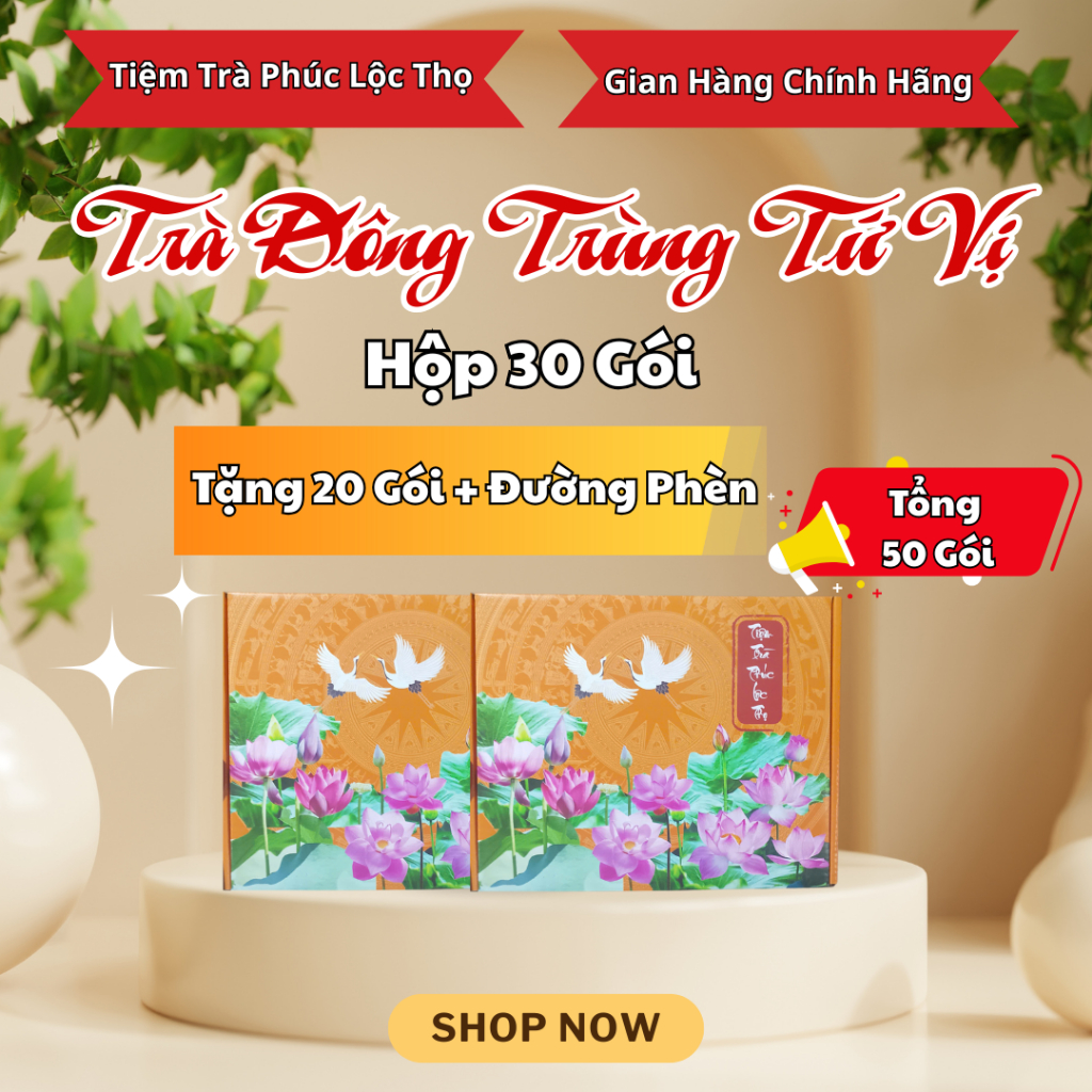 Trà Đông Trùng Tứ Vị - Hộp 30 Gói Tặng 20 Gói + Đường Phèn -Thành Phần: Nấm Đông Trùng, Kỳ Tử, Táo Đỏ, Long Nhãn