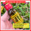 Dầu Massage, Tinh Dầu Massage Thảo Mộc Huế, Nguyên Chất Từ Thiên Nhiên Chai 60ml