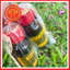 Dầu Massage, Tinh Dầu Massage Thảo Mộc Huế, Nguyên Chất Từ Thiên Nhiên Chai 60ml