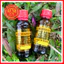 Dầu Massage, Tinh Dầu Massage Thảo Mộc Huế, Nguyên Chất Từ Thiên Nhiên Chai 60ml