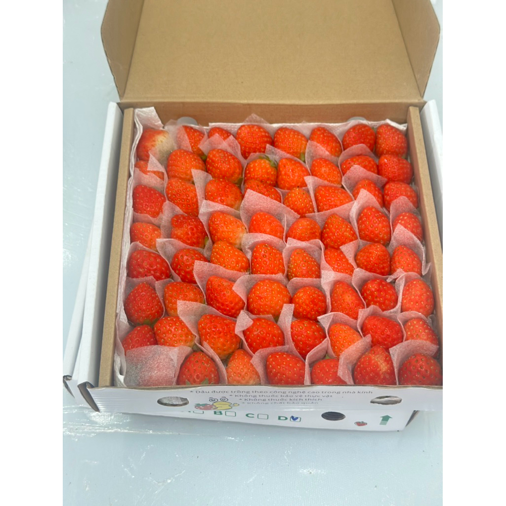 [Hoả Tốc HCM]  Dâu Tây Đà Lạt  Sky-Aki - hộp 500g