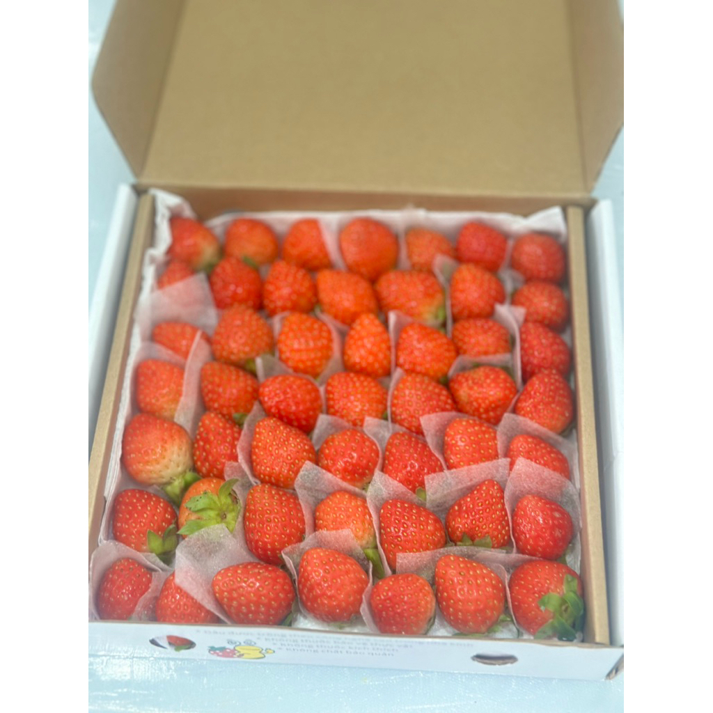 [Hoả Tốc HCM]  Dâu Tây Đà Lạt  Sky-Aki - hộp 500g