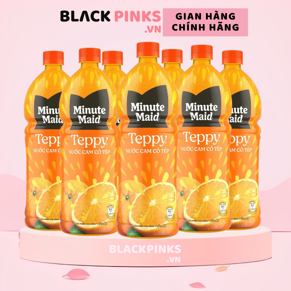 Lốc 12 chai nước cam có tép Teppy Minute Maid 1L | Shopee Việt Nam