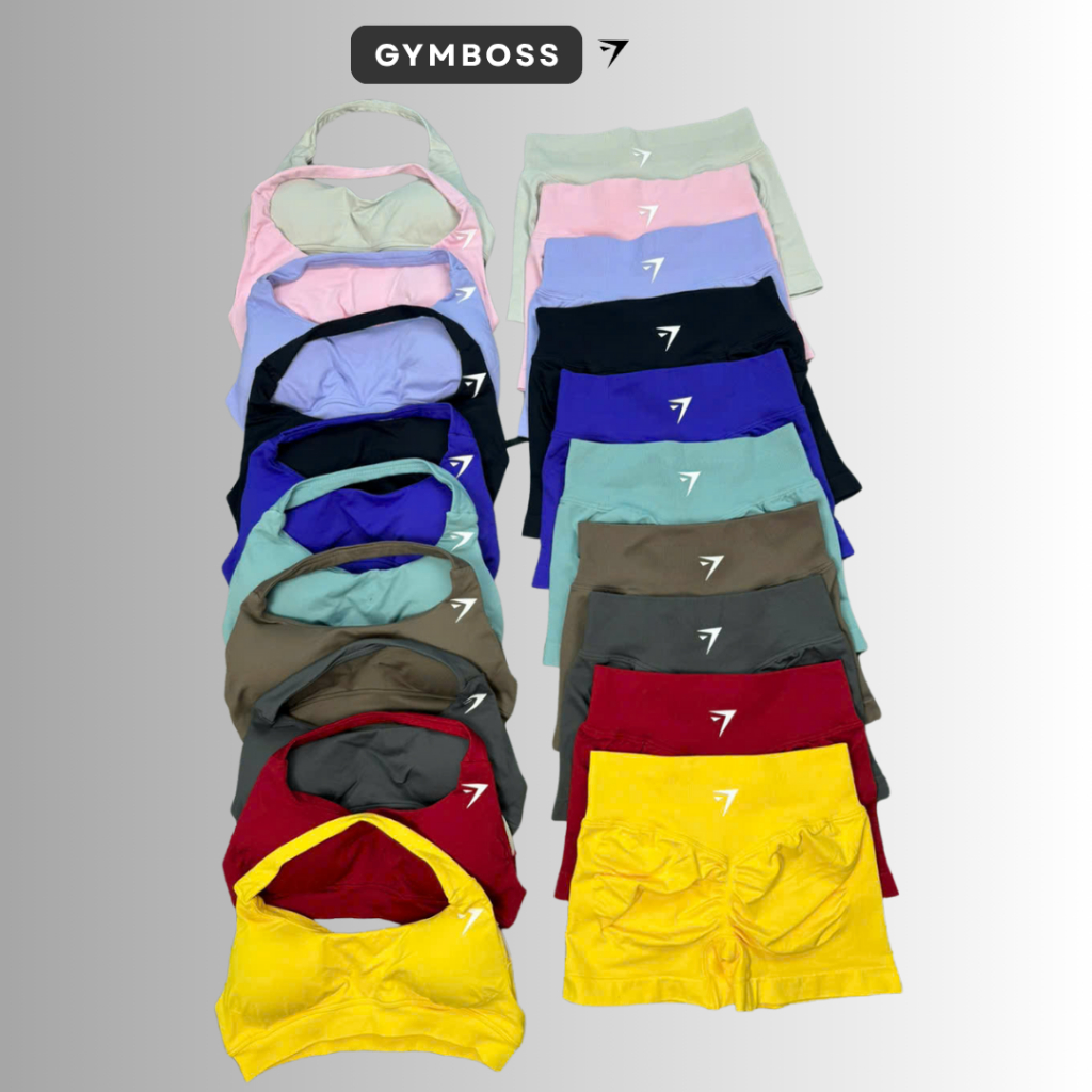Bộ quần áo tập gym,yoga (quần cạp thấp + áo bra yếm GB) chất liệu dệt kim 10% elast cao cấp GB306