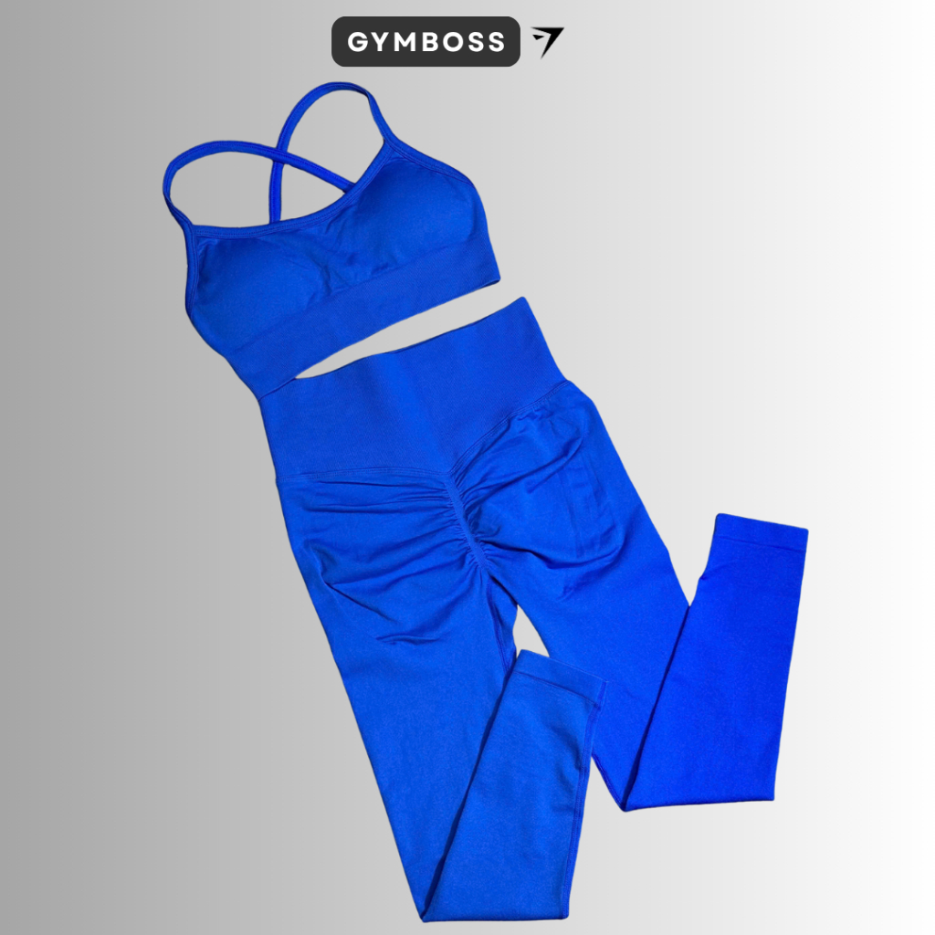 Bộ quần áo tập gym,yoga legging + bra dệt kim cao cấp GB310