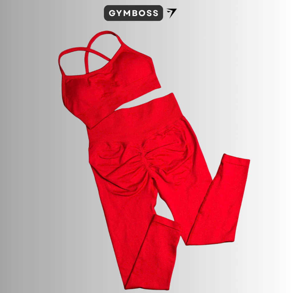 Bộ quần áo tập gym,yoga legging + bra dệt kim cao cấp GB310