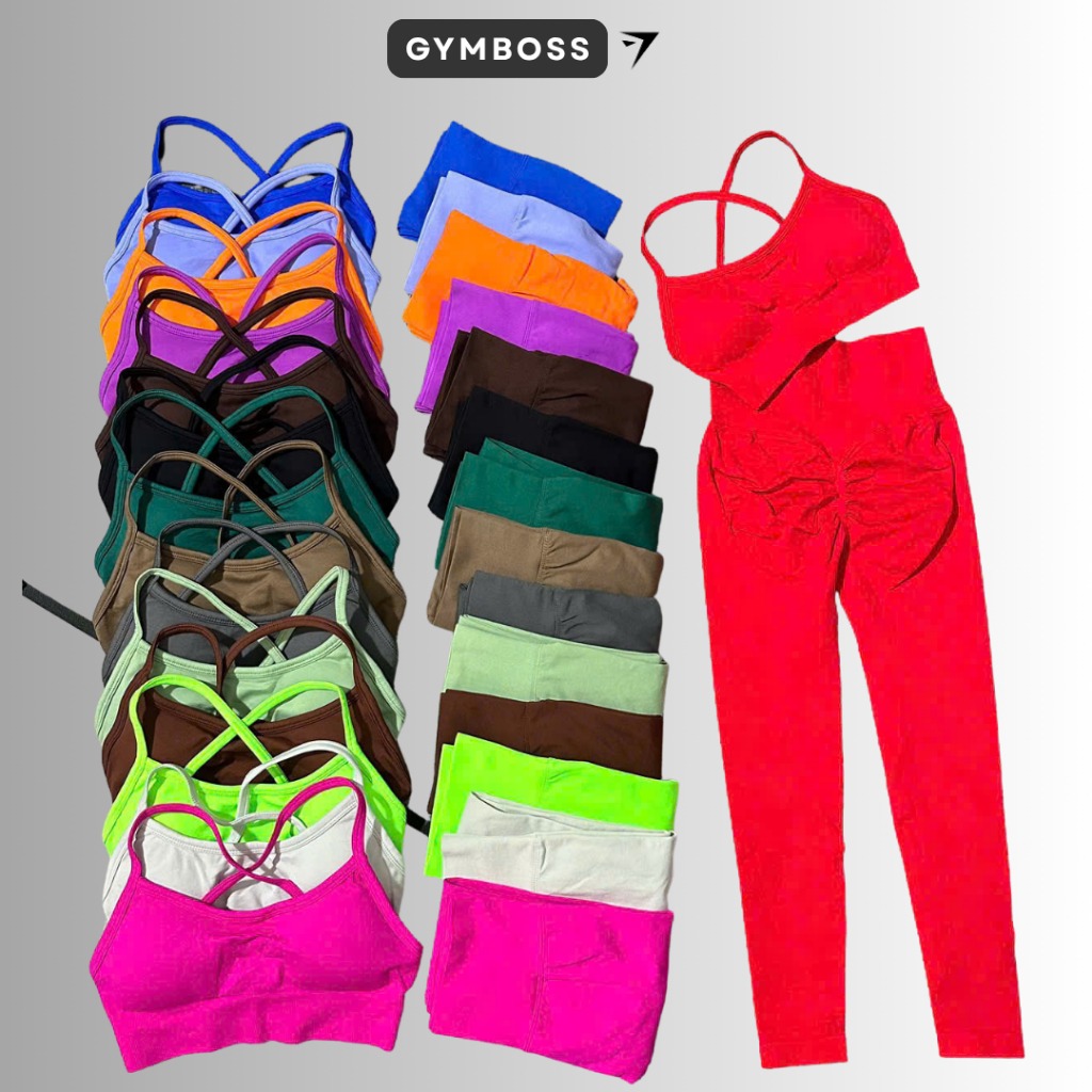 Bộ quần áo tập gym,yoga legging + bra dệt kim cao cấp GB310