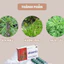 Viên Ích Mẫu và Fitolabs BioFe Hỗ trợ Điều hoà kinh nguyệt, Giảm Đau Bụng Kinh, Bổ Máu, Tạo Máu Phục