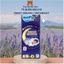 Tã/bỉm quần ban đêm Molfix Sweet Dream Jumbo chống tràn siêu hiệu quả cho bẻ đủ size M50/L44/XL38/2XL34