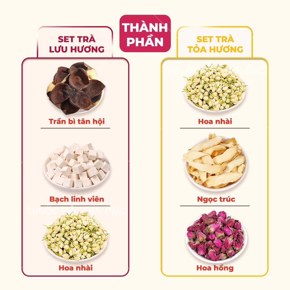Trà Thảo Mộc Hoa Hồngọc Trúc - trà thảo mộc hoa hồngọc trúc