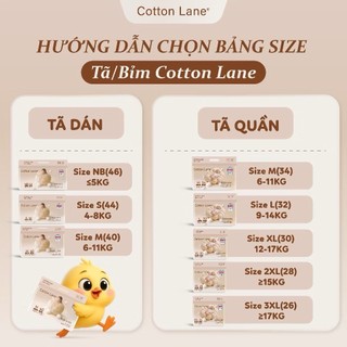 Tã/bỉm COTTON LANE LUNA NOVA siêu mỏng siêu thấm hút, mềm mại chống hăm đủ size cho bé