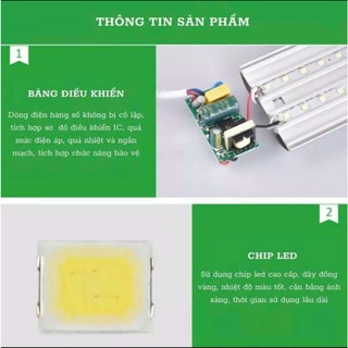 Đèn Tuýp LED Bán Nguyệt 40W 60W 100W - Tuýp Led 60cm, 1m2 Đầu Oval Sáng Tràn Viền - Bảo Hành 2 năm