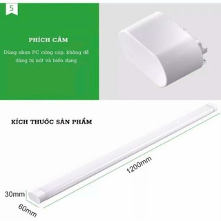 Đèn Tuýp LED Bán Nguyệt 40W 60W 100W - Tuýp Led 60cm, 1m2 Đầu Oval Sáng Tràn Viền - Bảo Hành 2 năm