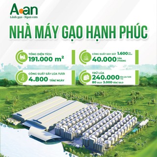 Combo 3 túi Gạo ST21 ngon túi 5kg - bao bì mới - Chính hãng Gạo sạch Aan