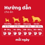 Thức Ăn Dạng Hạt Khô Cho Chó Lớn PEDIGREE Vị Bò Và Rau Củ 20kg — ảnh 7