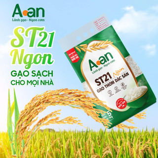 Combo 3 túi Gạo ST21 ngon túi 5kg - bao bì mới - Chính hãng Gạo sạch Aan