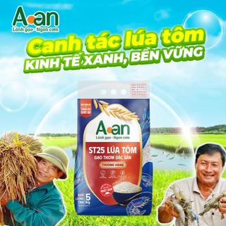 Combo 3 túi Gạo ST25 lúa tôm thượng hạng Aan túi 5kg - bao bì mới - Chính hãng Gạo sạch Aan