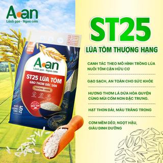 Combo 3 túi Gạo ST25 lúa tôm thượng hạng Aan túi 5kg - bao bì mới - Chính hãng Gạo sạch Aan