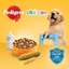 Thức ăn chó con Pedigree vị gà & trứng sữa