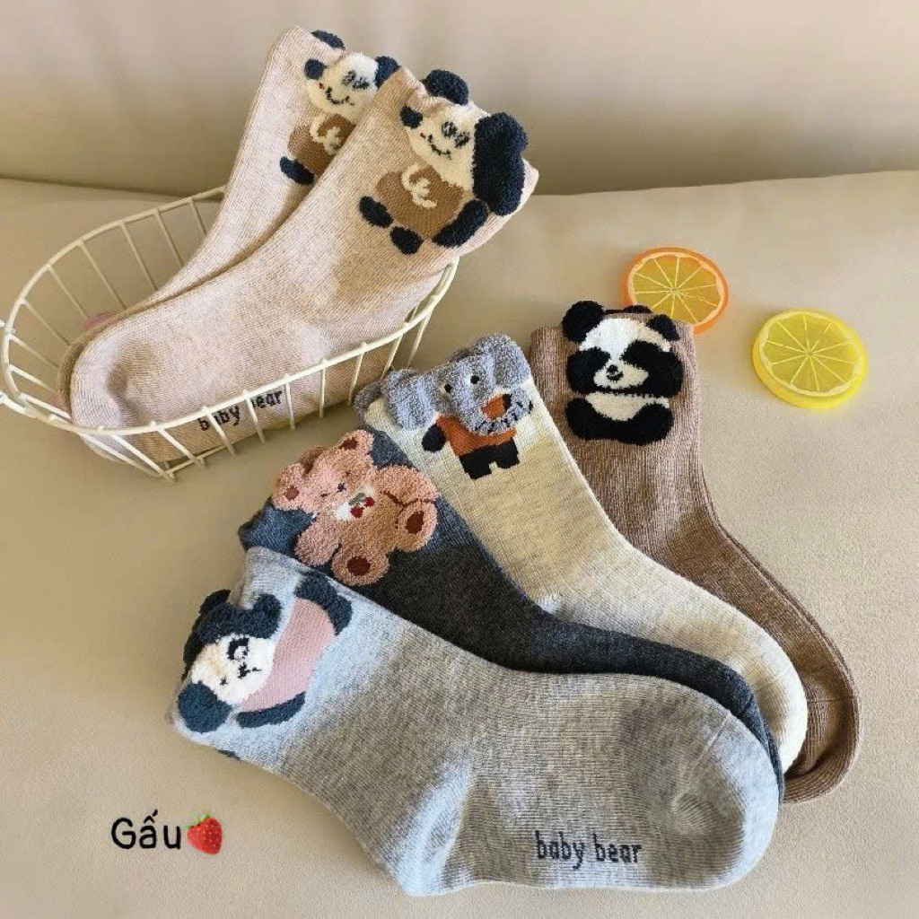 Set 10 đôi tất cotton cute cho bé 1-12 tuổi