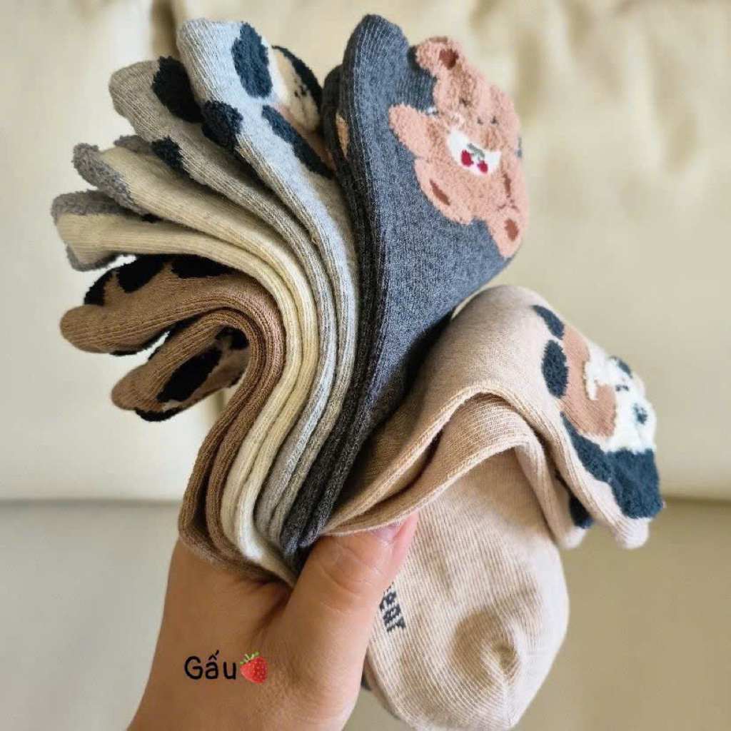 Set 10 đôi tất cotton cute cho bé 1-12 tuổi