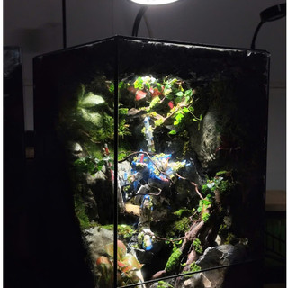 Terrarium " Gundam Chương Sử Cuối Cùng " Món quà đặc biệt cho bạn trai, gundam decor bàn học
