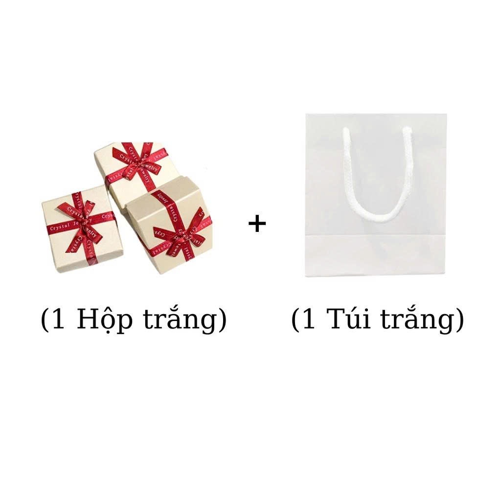 Combo hộp và túi đựng quà sang trọng, lịch sự | GEMY SILVER H1 + T1