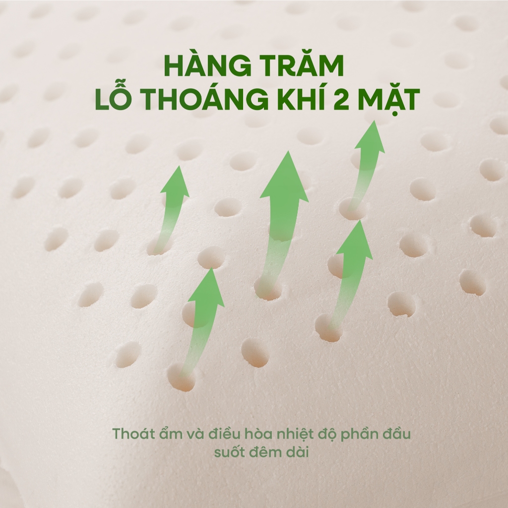 [DEAL MỞ BÁNIGối Cao Su Thiên Nhiên OVAL GUMMI OVALUX - Gối nằm cao su, Gối ngủ cao cấp 40x60x12cm