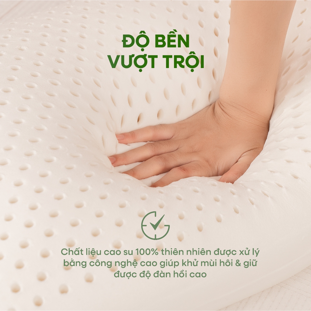 [DEAL MỞ BÁNIGối Cao Su Thiên Nhiên OVAL GUMMI OVALUX - Gối nằm cao su, Gối ngủ cao cấp 40x60x12cm