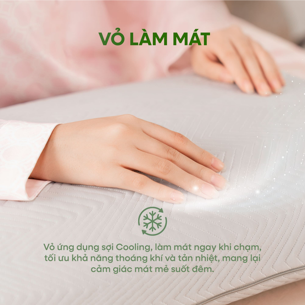 [DEAL MỞ BÁNIGối Cao Su Thiên Nhiên OVAL GUMMI OVALUX - Gối nằm cao su, Gối ngủ cao cấp 40x60x12cm