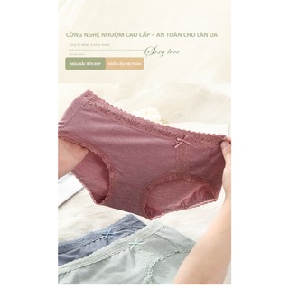 Quần Lót Nữ Cotton Co Giãn Thoải Mái Không Đường May, Ren Gợi Cảm, Mềm Mịn Thấm Hút Tốt