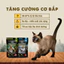Pate Cao Cấp Bite of Wild Hộp 12 Túi 70G, Công Thức Giàu Đạm, Ít Béo Cho Mèo Từ 2 Tháng Tuổi