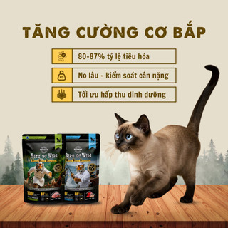Pate Cao Cấp Bite of Wild Túi 70G Công Thức Giàu Đạm, Ít Béo Cho Mèo Từ 2 Tháng Tuổi