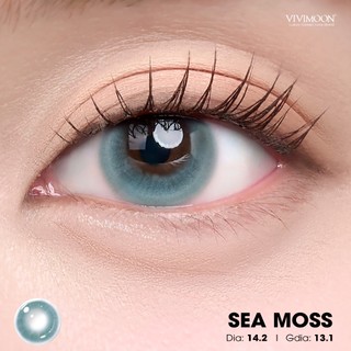 01 Chiếc Kính áp tròng VIVIMOON lens khóa ẩm 1 ngày màu xanh xám khói Sea Moss (Giá 1 bên mắt, x2 để đặt 1 đôi)