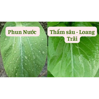[250ml] Chế phẩm Loang Trải Bám Dính Tubor 5.0 giúp thấm sâu, chống rửa trôi, kéo dài hiệu lực cho chế phẩm