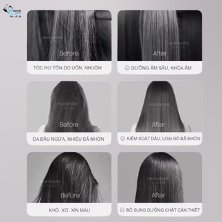 Cặp dầu gội xả GUYOU 816ml (CHÍNH HÃNG) Phục Hồi Ngăn Tóc Gãy Rụng , Siêu Mềm Mượt Tóc