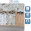 H49- set 3 bộ dài tay ô tô sọc- a100.39