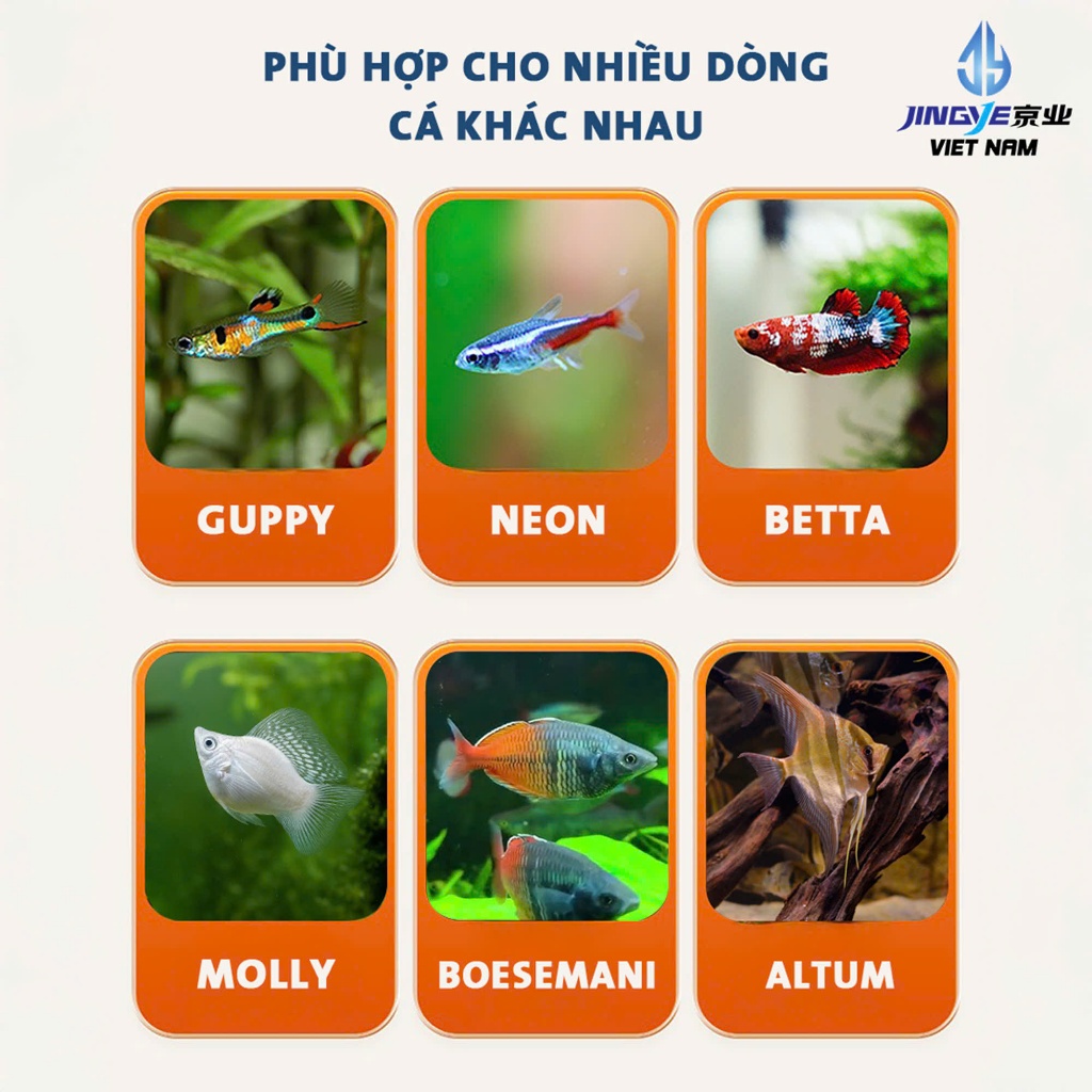 Cám JINGYE - Thức Ăn Cao Cấp Cho Cá Molly Guppy & Cá thủy Sinh . Đạm Cao Cá Lên Màu Đẹp