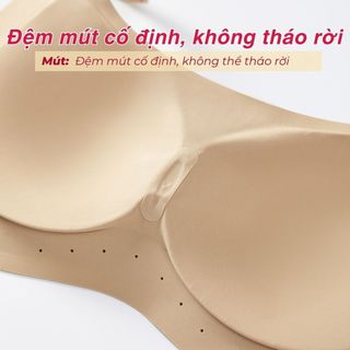 Áo ngực nữ cao cấp su đúc mềm mịn thoáng mát mút mỏng cố định ôm ngực nâng đỡ tự nhiên DEVARI A03