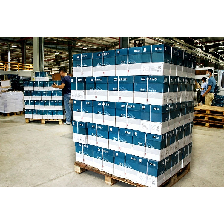 Giấy in photocopy A4 A5 HH Delus 75gsm độ trắng 95%