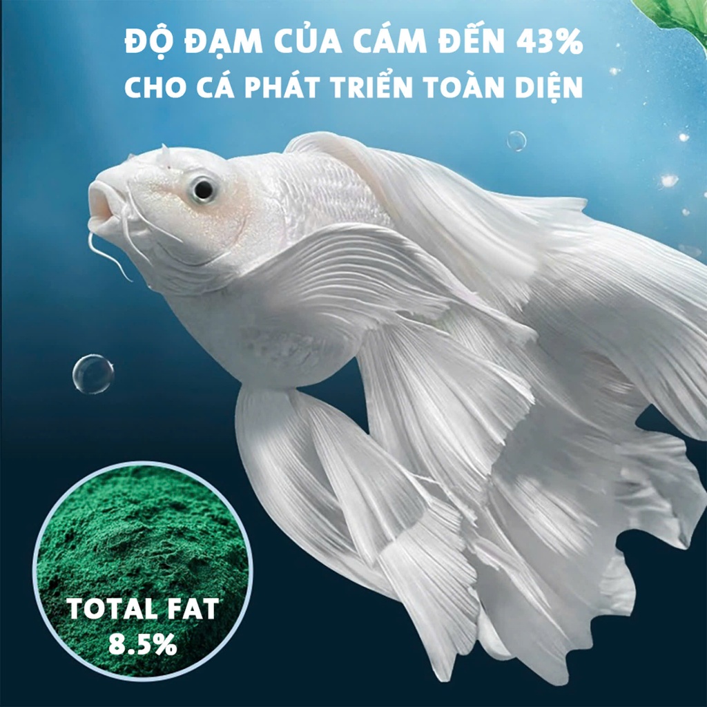 [Hạt Nổi] Cám JINGYE - Thức Ăn Cao Cấp Cho Cá Chép Sư Tử , Phi Tần - Đạm Cao Cá Lên Màu Đẹp