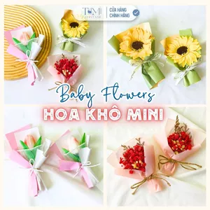 Hoa Khô Baby Trang Trí, Bó Hoa Khô Mini, Trang Trí Hộp Quà, Phụ Kiện Hoa Mini
