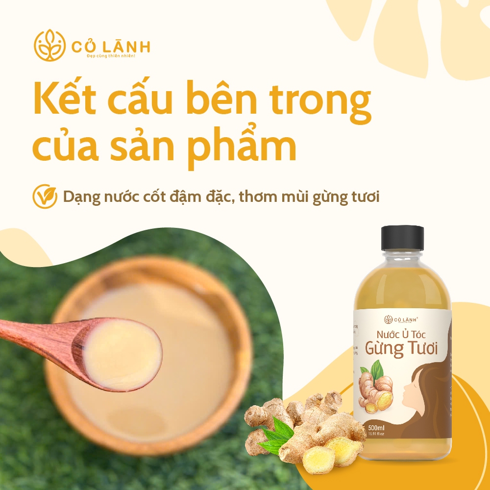 Nước Ủ Tóc Gừng Tươi Cỏ Lành - Giup Giam Rụng Tóc - Kích Thích Mọc Tóc