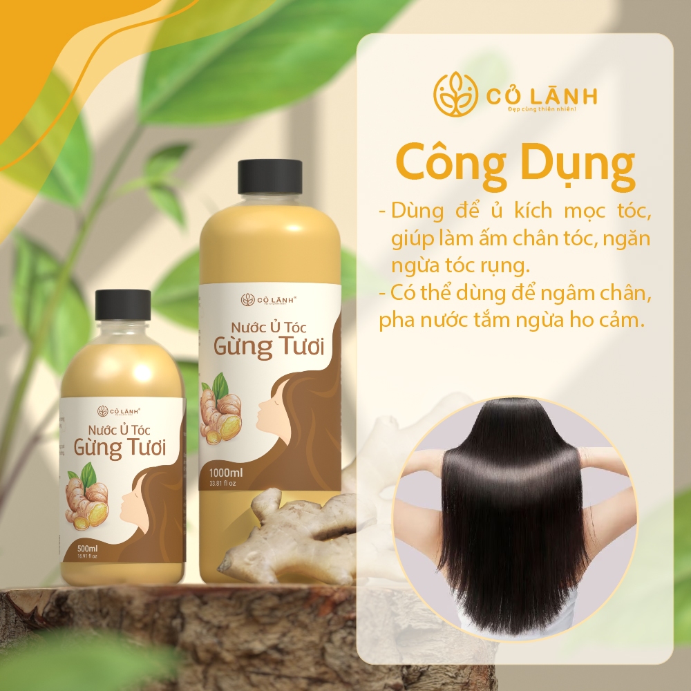Nước Ủ Tóc Gừng Tươi Cỏ Lành - Giup Giam Rụng Tóc - Kích Thích Mọc Tóc