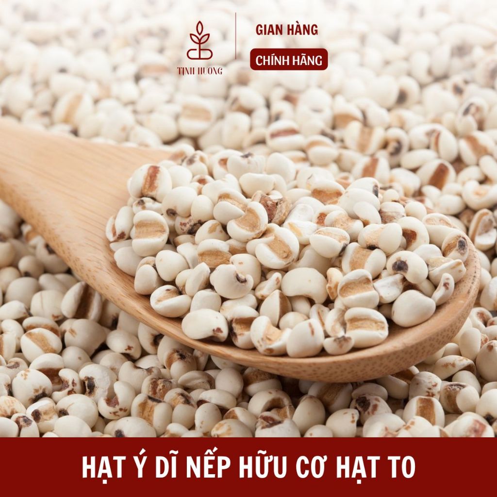 Hạt ý dĩ 500g 1kg, y dĩ nếp, hạt bobo, nấu cháo, chè, hầm gà, pha trà lợi sữa sau sinh, bồi bổ sức khỏe